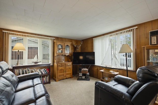 47 Ems W29B Ln, North Webster, IN 46555 - living area featuring wooden walls and light carpet