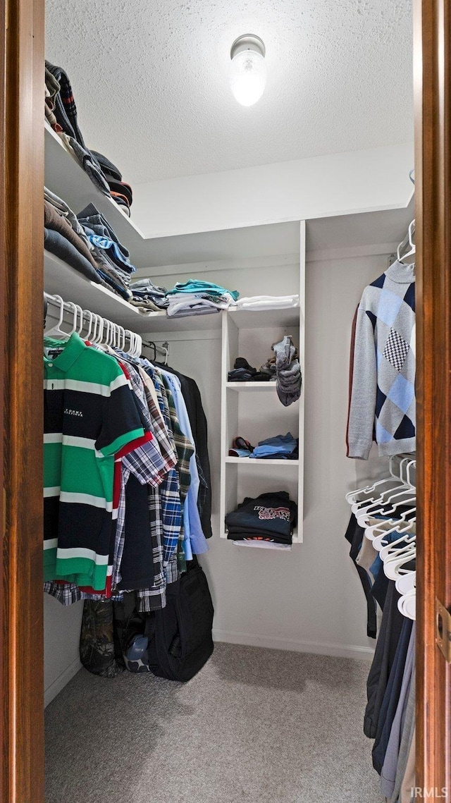 walk in closet with carpet flooring