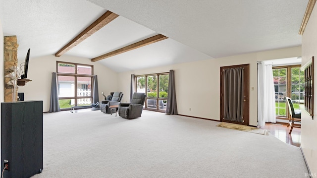 living area featuring carpet, a textured ceiling, and baseboards