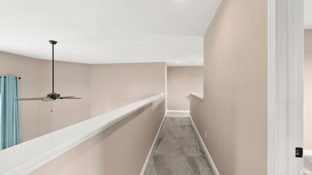 5937 Liam Ln, Fort Wayne, IN 46818 - corridor with an upstairs landing, carpet, and baseboards