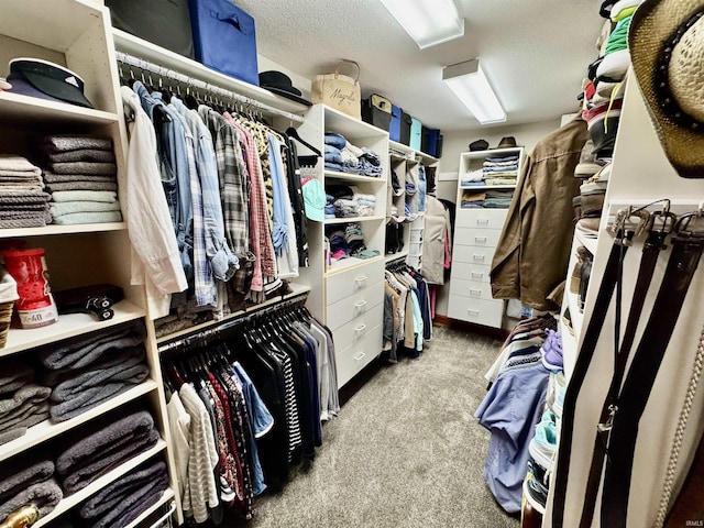 16529 State Road 1st Rd, Spencerville, IN 46788 - walk in closet featuring carpet floors