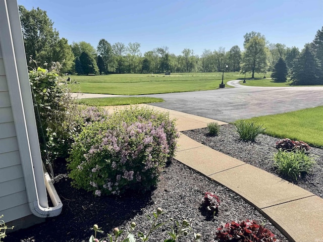 16529 State Road 1st Rd, Spencerville, IN 46788 - view of home's community featuring a lawn