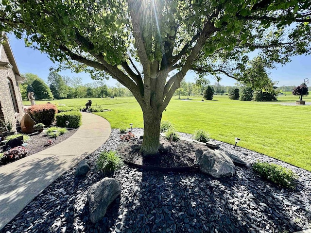 16529 State Road 1st Rd, Spencerville, IN 46788 - view of green lawn