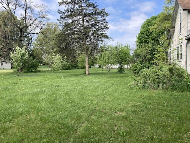 view of grassy yard