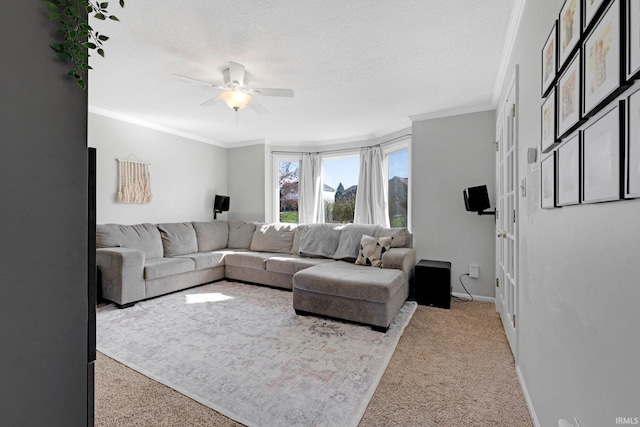 10731 Willow Creek Dr, Fort Wayne, IN 46845 - living room with a ceiling fan, light colored carpet, crown molding, baseboards, and a textured ceiling