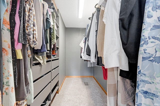 10731 Willow Creek Dr, Fort Wayne, IN 46845 - view of spacious closet