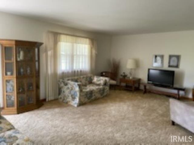 206 Pine St, Vincennes, IN 47591 - living room with carpet flooring