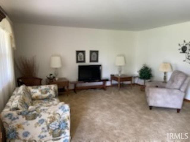 206 Pine St, Vincennes, IN 47591 - living area with light colored carpet