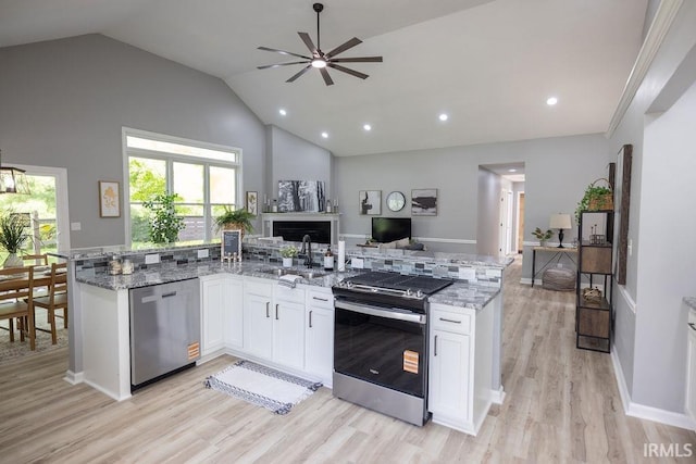 103 Bluebird Ln, Sulphur Springs, IN 47388 - kitchen with stainless steel appliances, open floor plan, light stone counters, a ceiling fan, and light wood-style floors