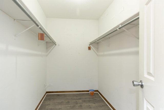 spacious closet featuring wood finished floors