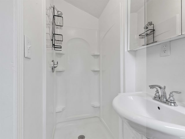 315 Lane 201bb Lake George Ln, Fremont, IN 46737 - full bath featuring a sink, a stall shower, and lofted ceiling