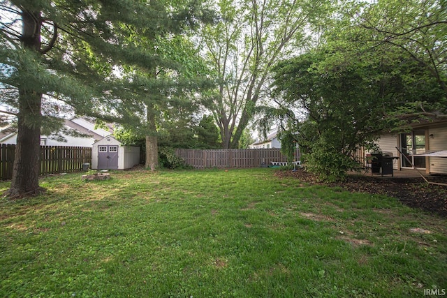 view of yard featuring a storage unit and an outbuilding