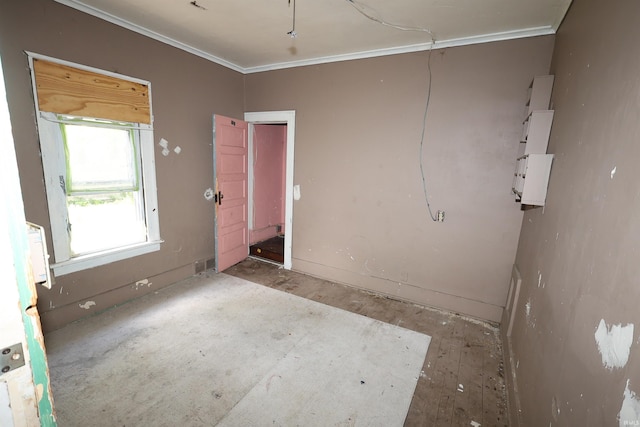 spare room with ornamental molding