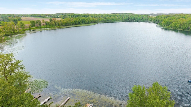 water view with a forest