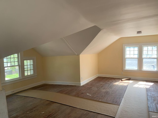 1021 E Blackford Ave, Evansville, IN 47714 - additional living space with wood finished floors, plenty of natural light, baseboards, and lofted ceiling