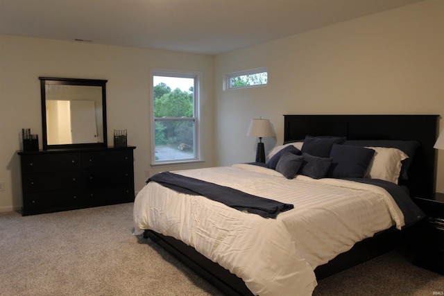 bedroom with carpet floors