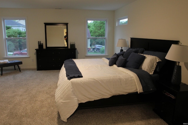 bedroom featuring carpet