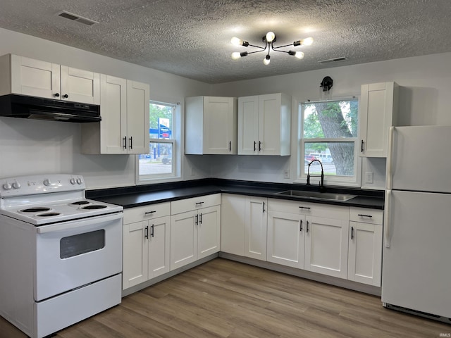 2108 W Memorial Dr, Muncie, IN 47302 - kitchen with white appliances, a sink, under cabinet range hood, healthy amount of natural light, and a textured ceiling