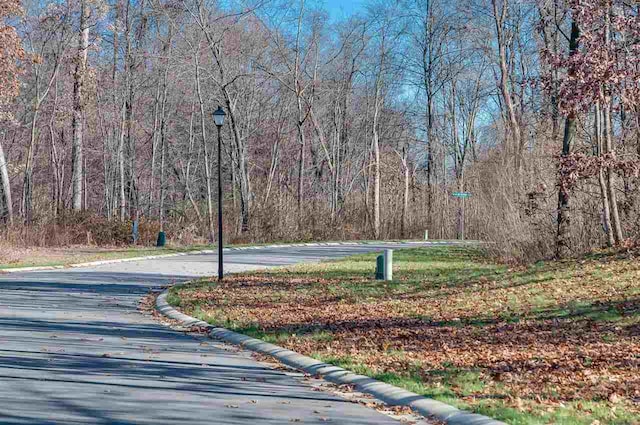 50890 Summit Ridge Trl Unit 45, South Bend, IN 46628
