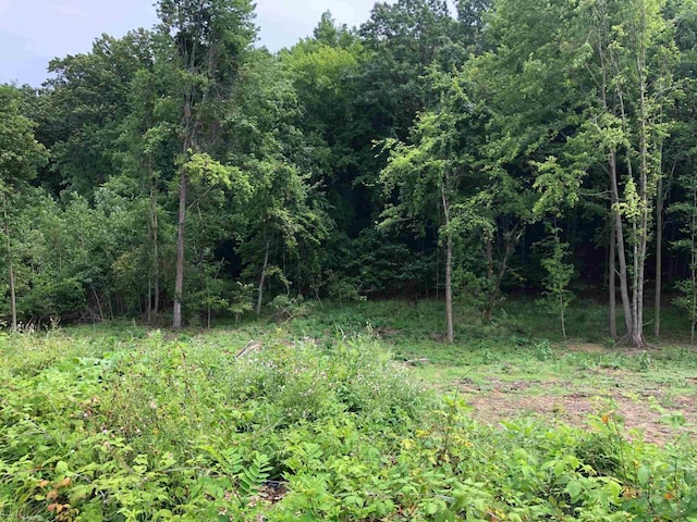 50890 Summit Ridge Trl Unit 45, South Bend, IN 46628