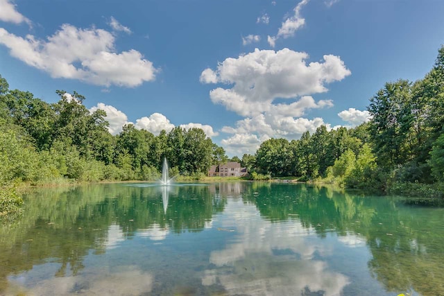 50890 Summit Ridge Trl Unit 45, South Bend, IN 46628