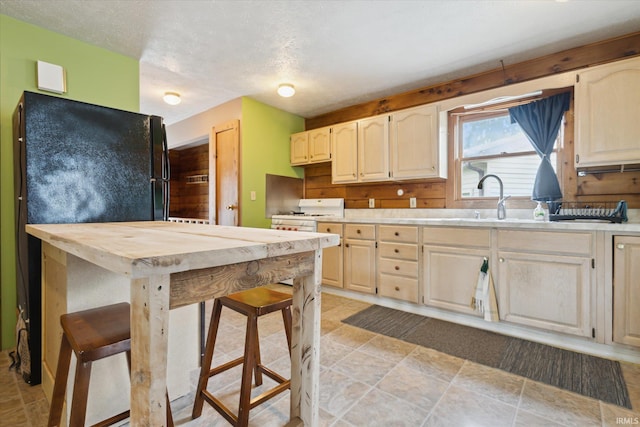 kitchen featuring a sink, freestanding refrigerator, white range with gas stovetop, and a textured ceiling