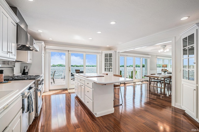 411 Auditorium Blvd, Winona Lake, IN 46590 - kitchen with stainless steel appliances, crown molding, ventilation hood, dark wood-style flooring, and a breakfast bar