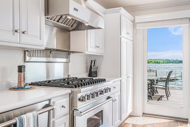 411 Auditorium Blvd, Winona Lake, IN 46590 - kitchen featuring ventilation hood, stainless steel stove, ornamental molding, white cabinetry, and plenty of natural light