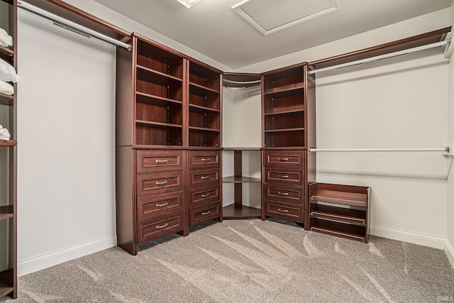 411 Auditorium Blvd, Winona Lake, IN 46590 - spacious closet with light colored carpet and attic access