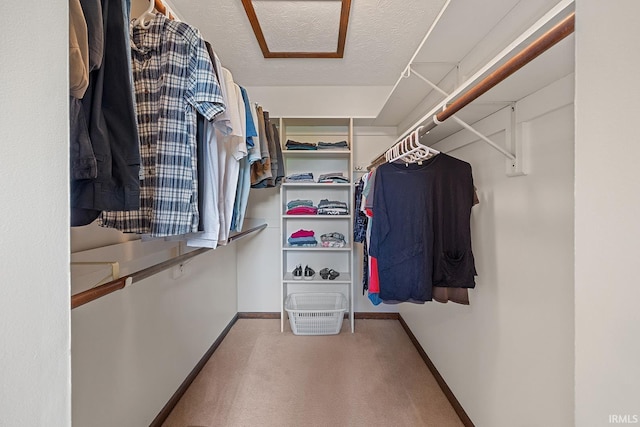 walk in closet with carpet