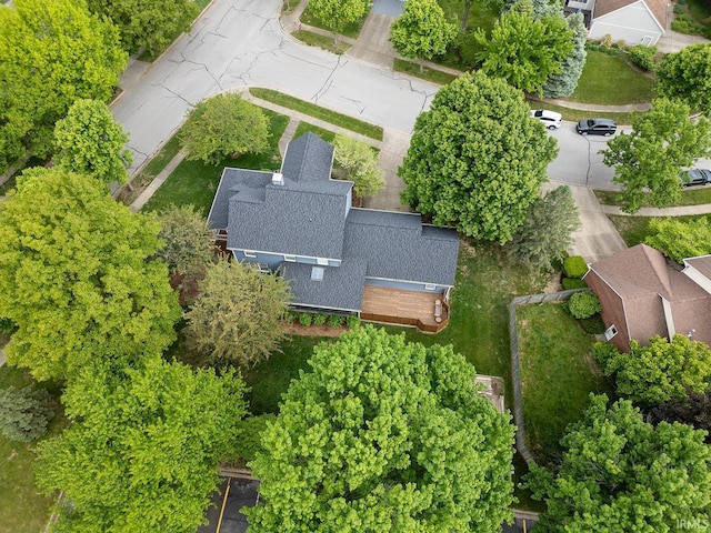 drone / aerial view