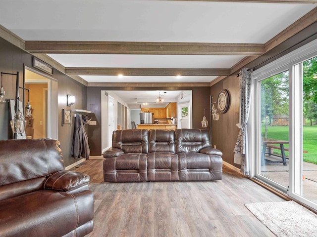 4904 Live Oak Ct, Fort Wayne, IN 46804 - living room with light wood-style floors, baseboards, and beamed ceiling