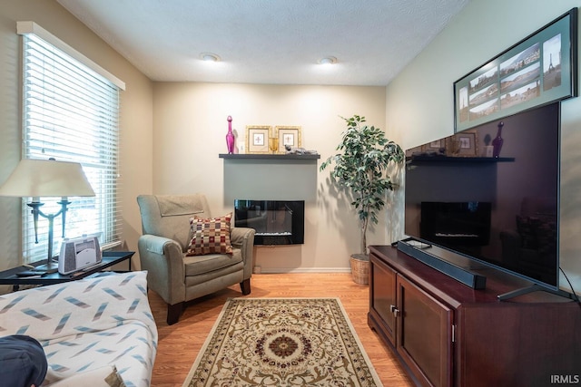 682 E Heather Dr, Bloomington, IN 47401 - living room with a glass covered fireplace, light wood-style flooring, and baseboards