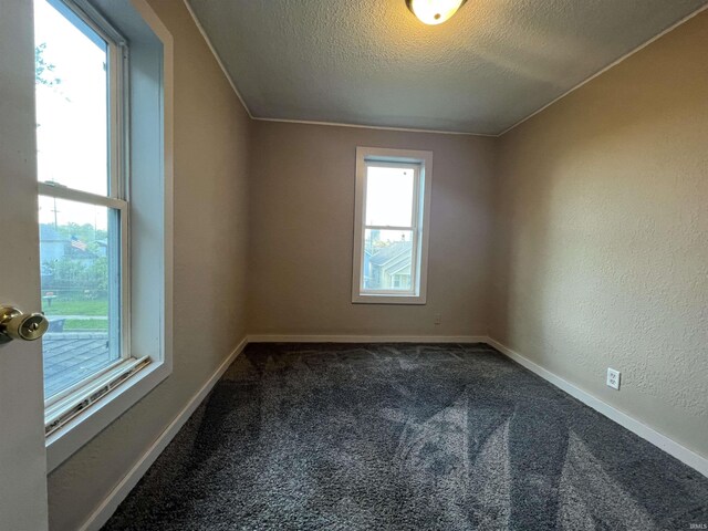 empty room featuring carpet, baseboards, a textured ceiling, and a textured wall