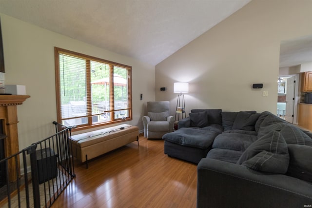 6330 Gardner Rd, Chandler, IN 47610 - living room with vaulted ceiling and light wood-style floors