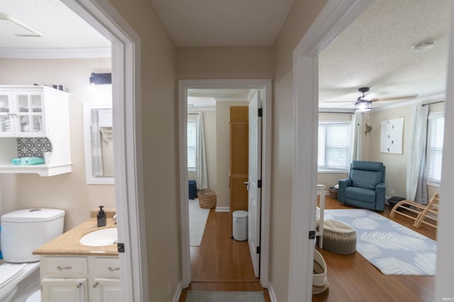 6330 Gardner Rd, Chandler, IN 47610 - corridor featuring plenty of natural light, wood finished floors, a sink, and ornamental molding