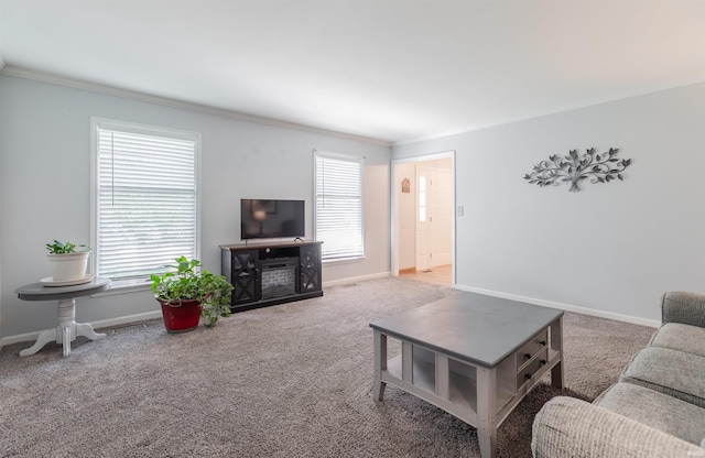 7860 Cedar Ridge Dr, Evansville, IN 47715 - living area featuring crown molding, carpet floors, and baseboards