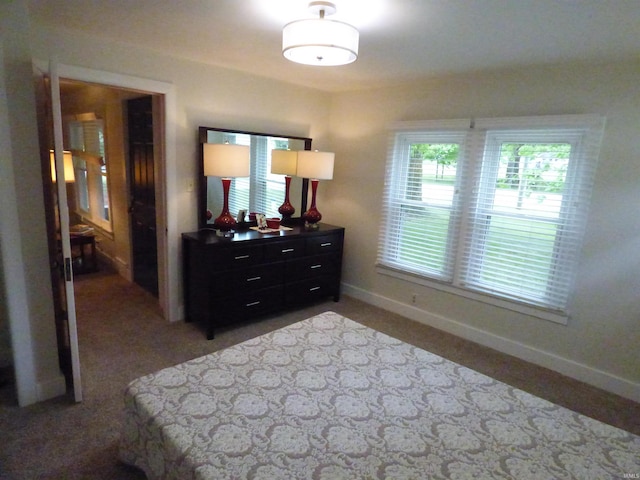 51044 Portage Rd, South Bend, IN 46628 - bedroom featuring multiple windows, baseboards, and light carpet