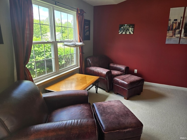 sitting room featuring plenty of natural light and carpet flooring