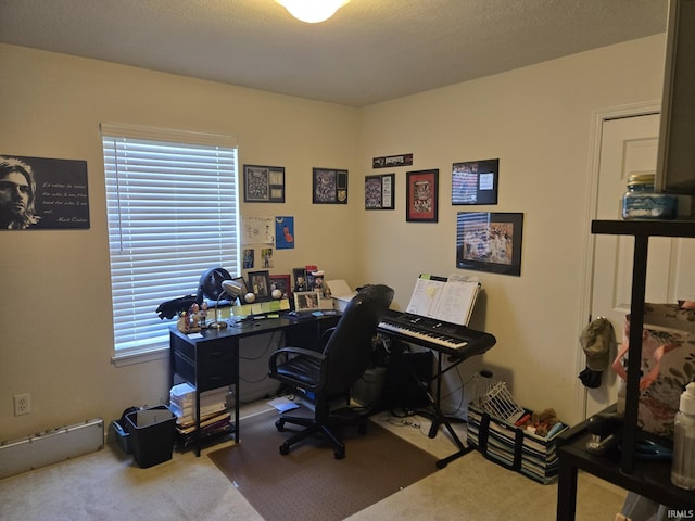 view of carpeted home office