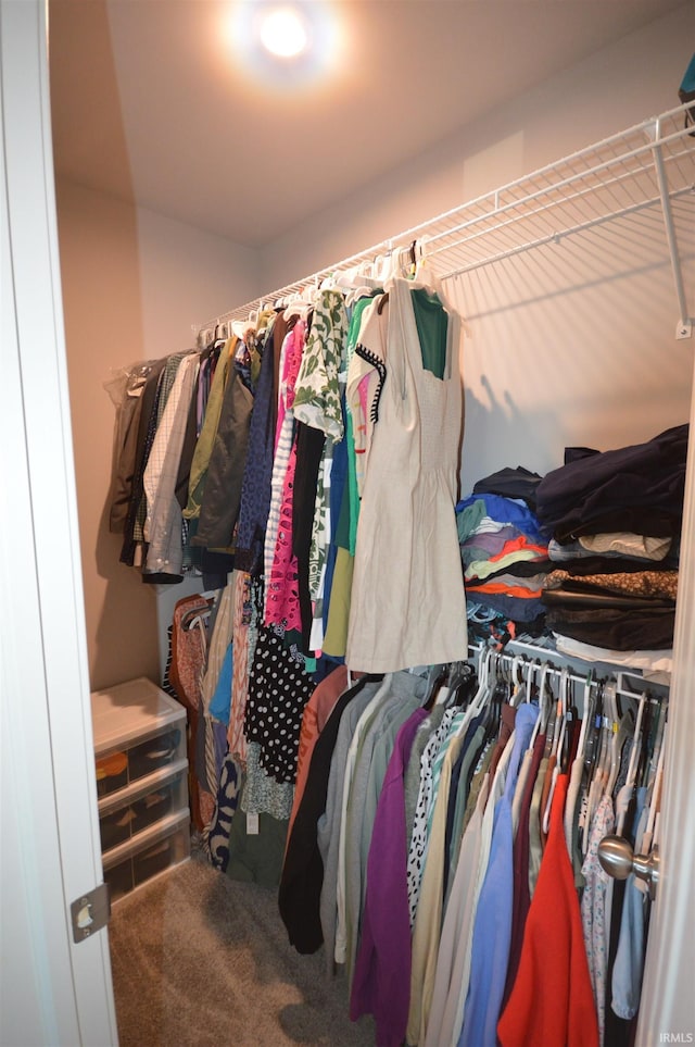 view of spacious closet