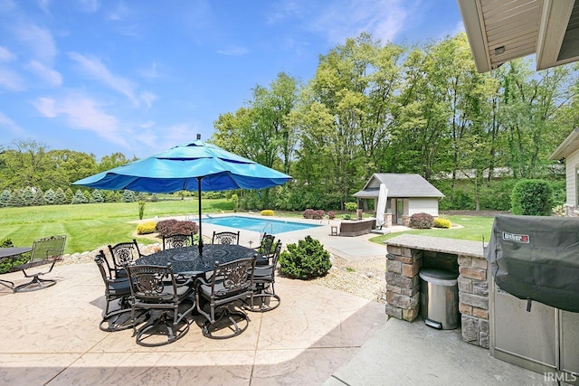 19861 County Road 16, Bristol, IN 46507 - view of patio / terrace with an outdoor pool, an outdoor structure, outdoor dining area, and a storage structure