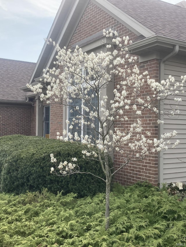 1916 Greenwood Dr, Goshen, IN 46526 - view of side of home with brick siding and a shingled roof