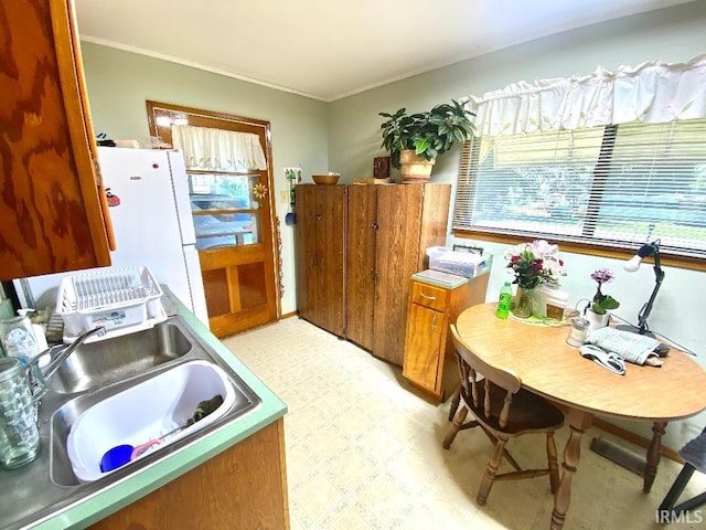 260 W Prairie St, Lyons, IN 47443 - kitchen with light floors, healthy amount of natural light, a sink, freestanding refrigerator, and crown molding