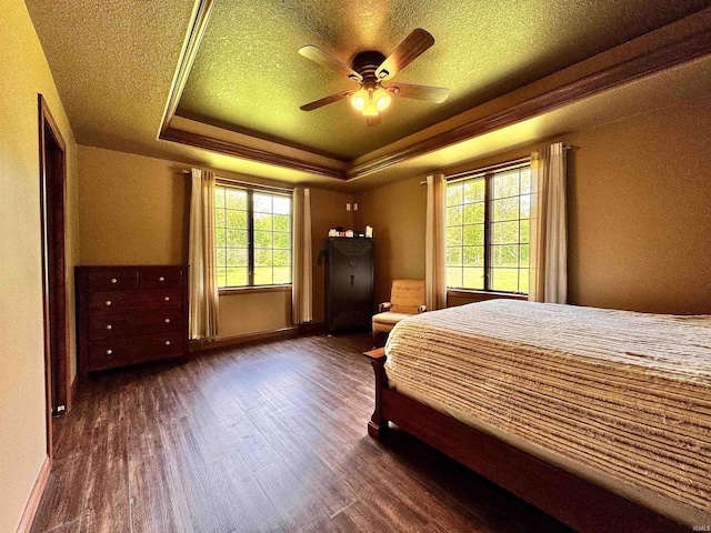 5936 County Road 427, Auburn, IN 46706 - bedroom with dark wood-style flooring, multiple windows, a tray ceiling, baseboards, and a textured ceiling