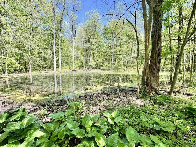 5936 County Road 427, Auburn, IN 46706 - view of woods