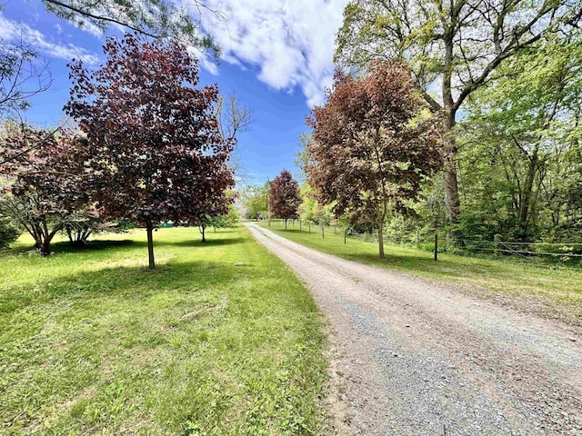 5936 County Road 427, Auburn, IN 46706 - view of road