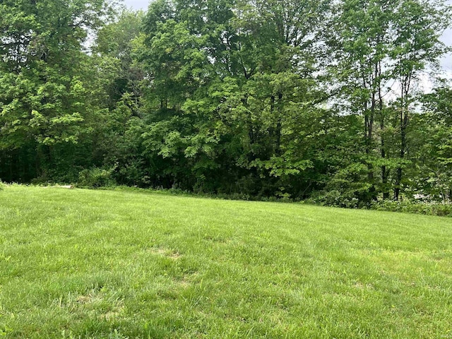 5861 Jordan Village Rd, Poland, IN 47868 - view of yard
