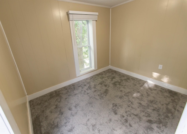 201 N Gonser Ave, Ashley, IN 46705 - spare room featuring carpet floors, crown molding, and baseboards
