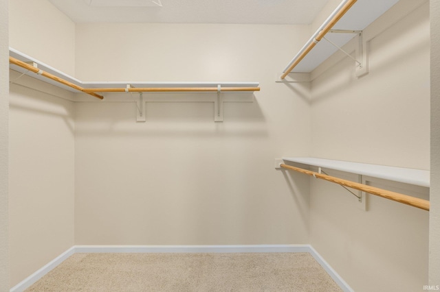 walk in closet featuring carpet